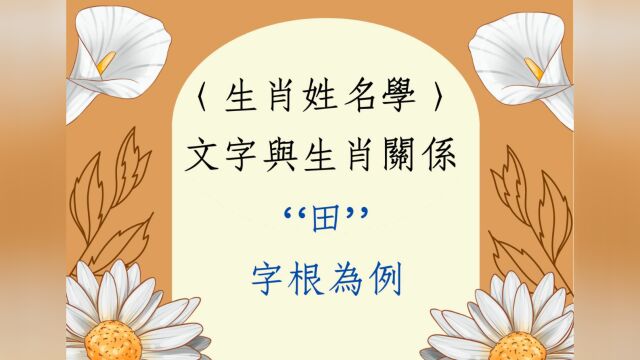 202205011834《翁子秀生肖姓名学》文字与生肖关系(田)