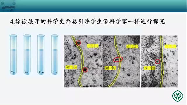 【教学案例】基于教材框架的单元整体教学设计(全场)