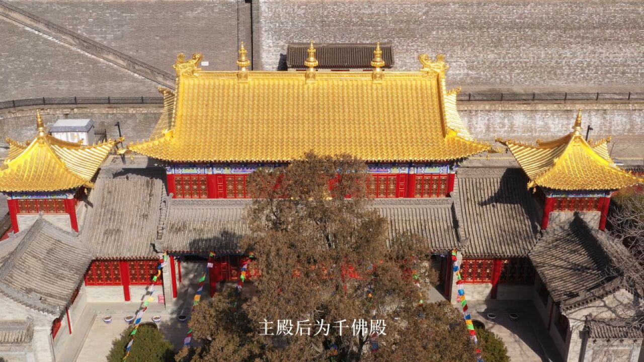 陕西唯一的藏传佛教寺院,全省唯一一座金瓦殿,仿佛到了西藏