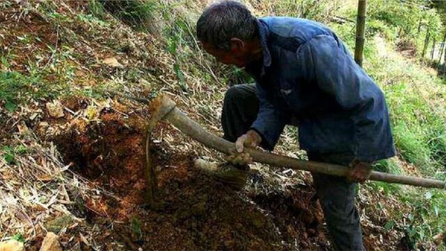 陕西出土一把水壶,采用“超前科技”打造,专家看后无比赞叹