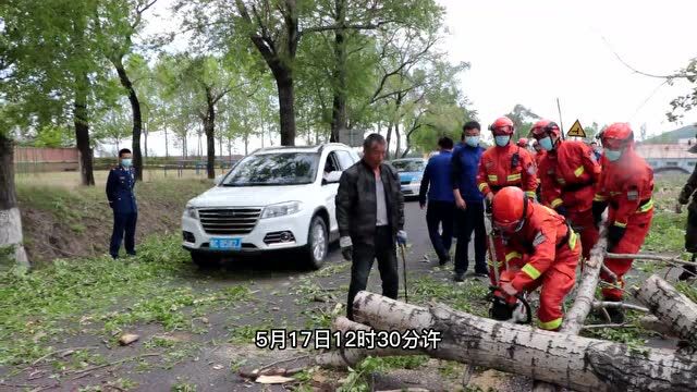 大爱在心,责任在行,清理倒木确保道路畅通