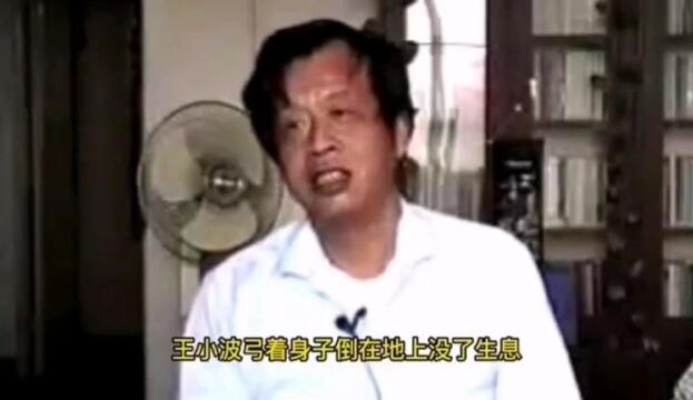 王小波深夜惨死家中,火化时发生意外,好友感慨:他这是不想走啊