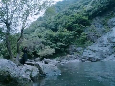 陈情令:蓝湛抚琴魏无羡吹笛子,背景音乐响起,那年夏天最美的少年郎回来了