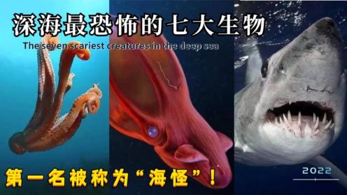 深海最恐怖的七大生物，深海鱼龙屈居第四，第一被称为“海怪”！