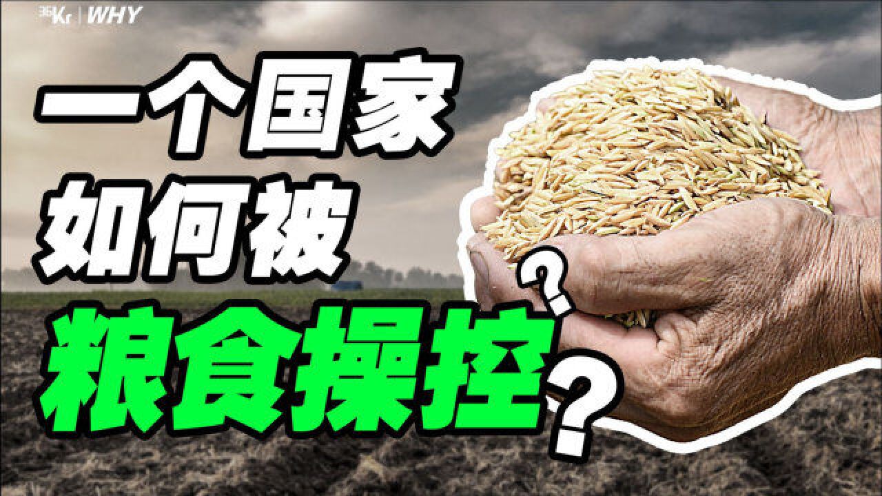 长达60年的粮食战争从未结束,是谁在制造危机?