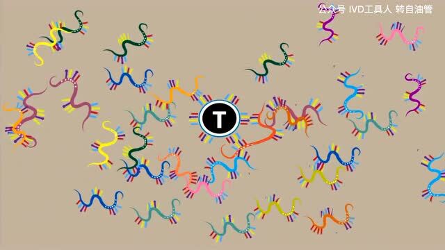 Aptamer 新冠的比色检测试剂,CE上市