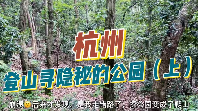 杭州万松岭登山,周末休闲运动好去处,寻找隐秘的公园,喜欢爬山的别错过