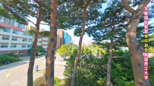 韩国西江大学360全景展示