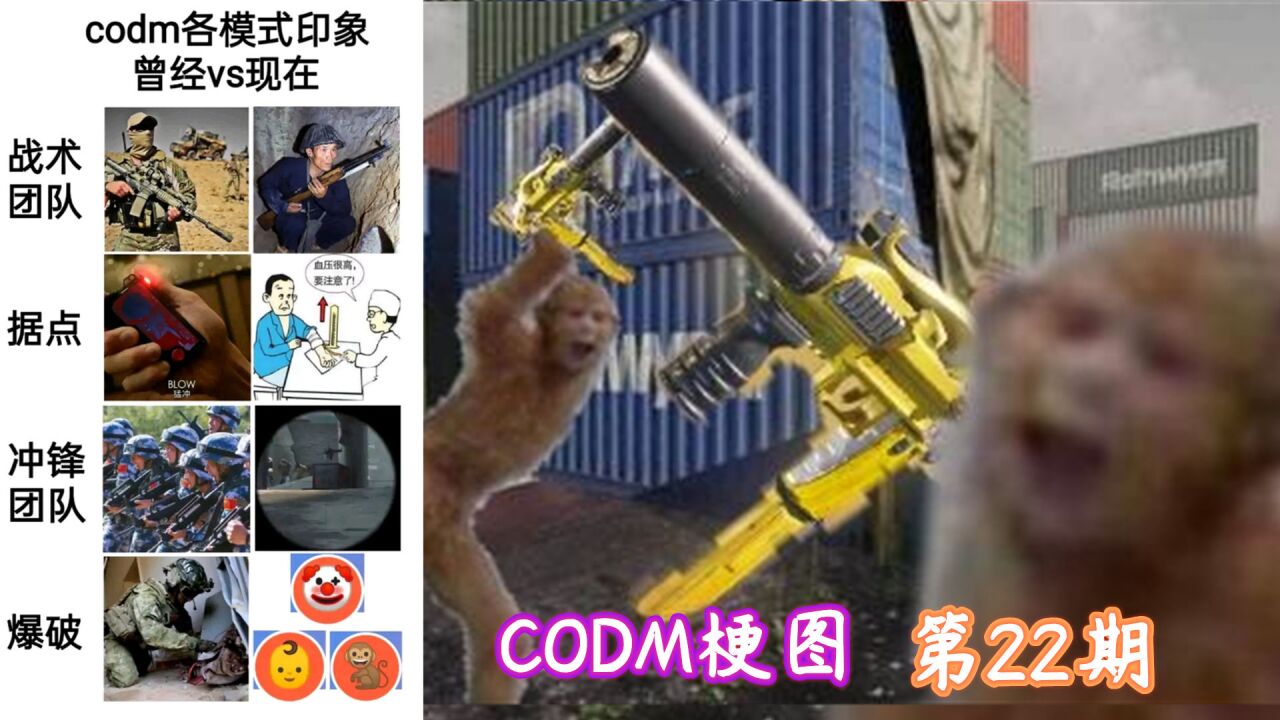 使命召唤手游:只有codm玩家才懂的梗图第22期