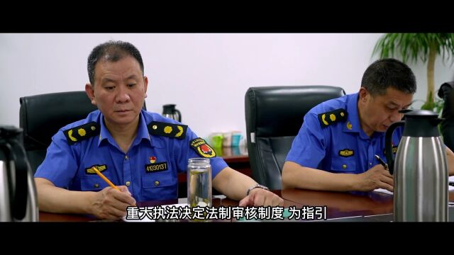 【微视频】洛阳城市管理综合执法支队标准化建设宣传片