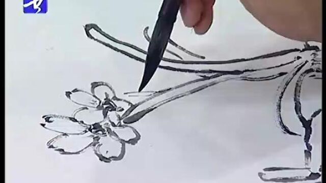 中国写意花鸟画水仙03