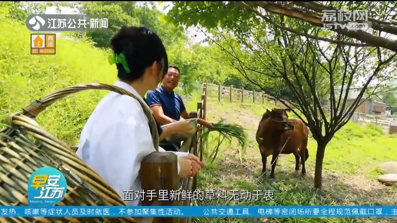 游遍江苏 山美水美 向往的一天“在佘村”