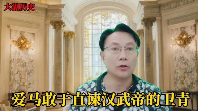 爱马敢于直谏汉武帝的卫青