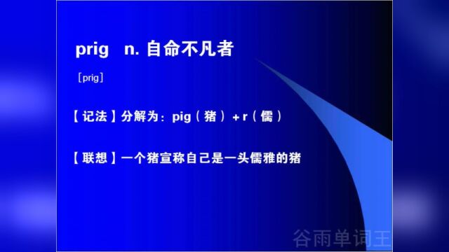 中学英语必考核心重点单词视频讲解大全g开头的单词