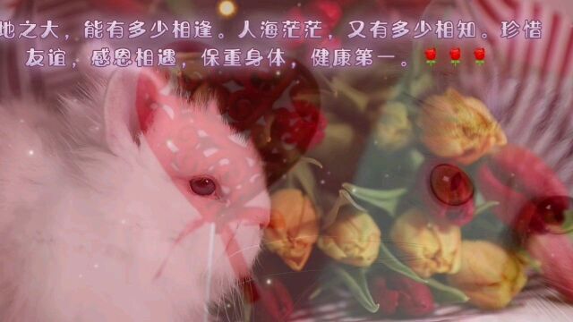 相四相遇,珍惜友谊