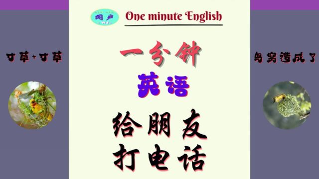 分钟英语D20 给朋友打电话 | 英语学习 | Learn English | 英语口语 | 英语语法