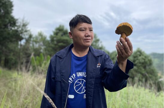 云南山咔咔出菌子啦,头次遇到黄牛肝菌,太激动了