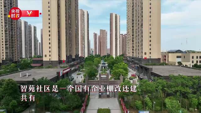 走进武汉市东湖高新区智苑社区.