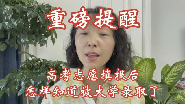 个档案状态什么意思?需要的注意事项有哪些?#志愿填报