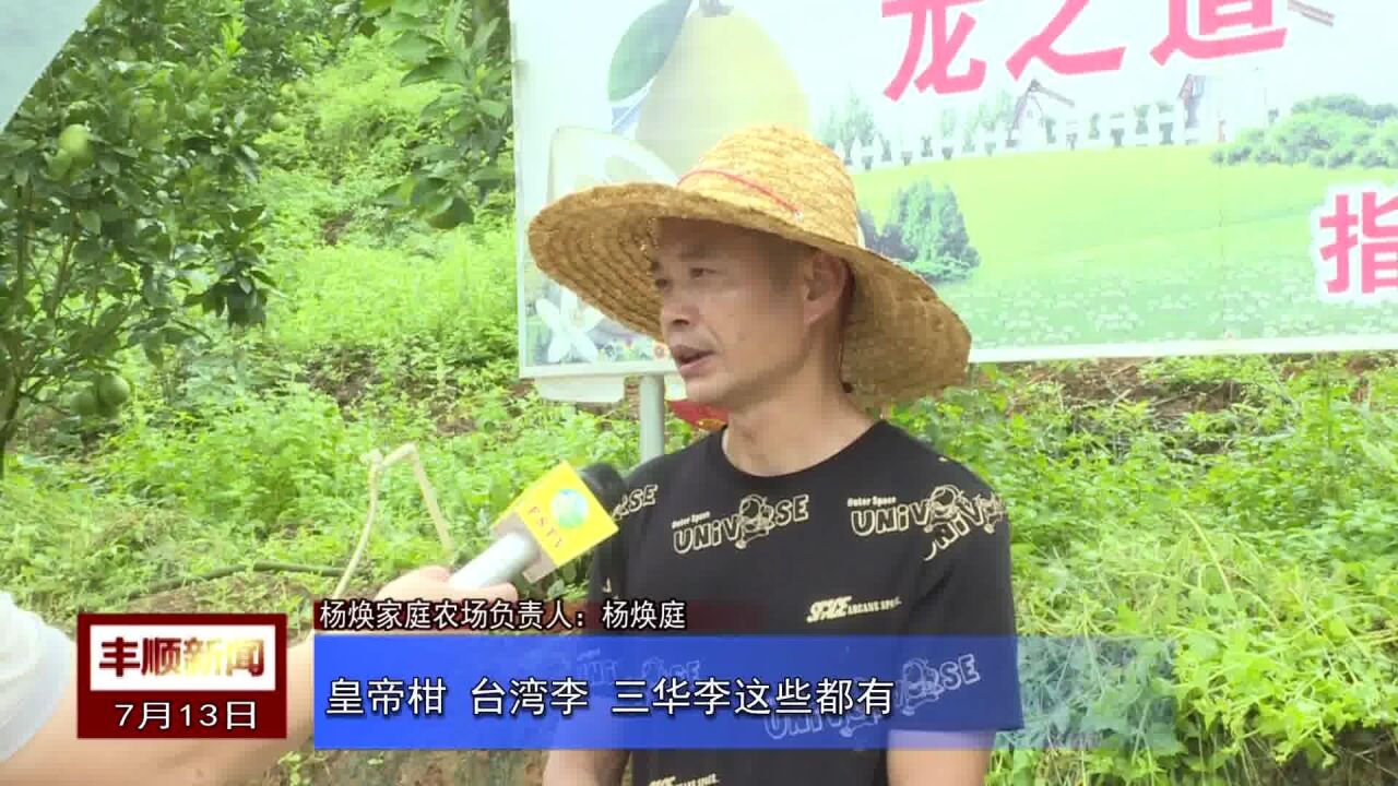 杨焕家庭农场:四季有果产业兴 乡村振兴动力足,采访1