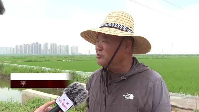 聚焦丨【非凡十年ⷮŠ天津篇】这份津沽大地的“成绩单”,请您查收!