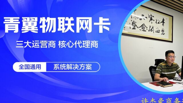 老向聊物联卡:关于物联卡的号段,你了解多少呢?136、131、130