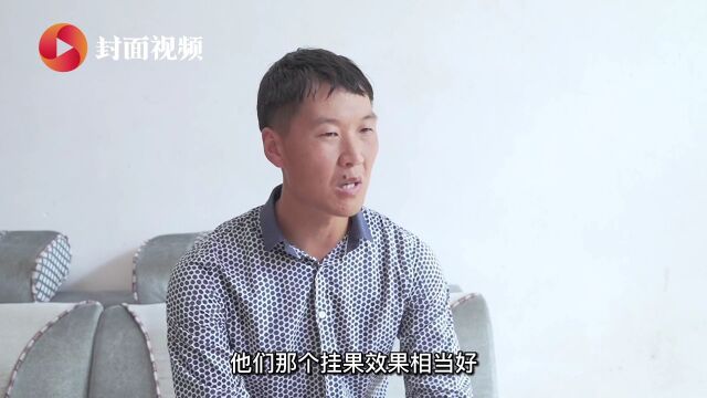 请来“云管家” 柑橘园跑出10倍增产“加速度”