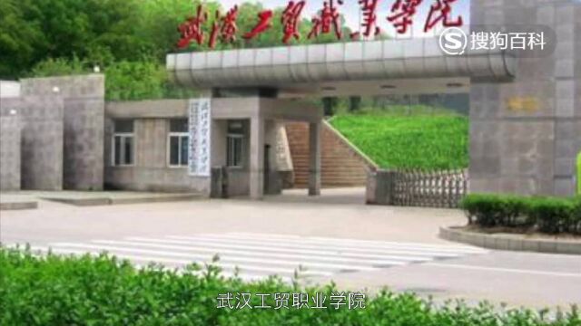 立懂百科带你了解武汉工贸职业学院