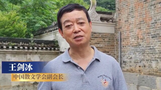 名家论永州vlog丨王剑冰:这里确非一般,值得每个人来看一看