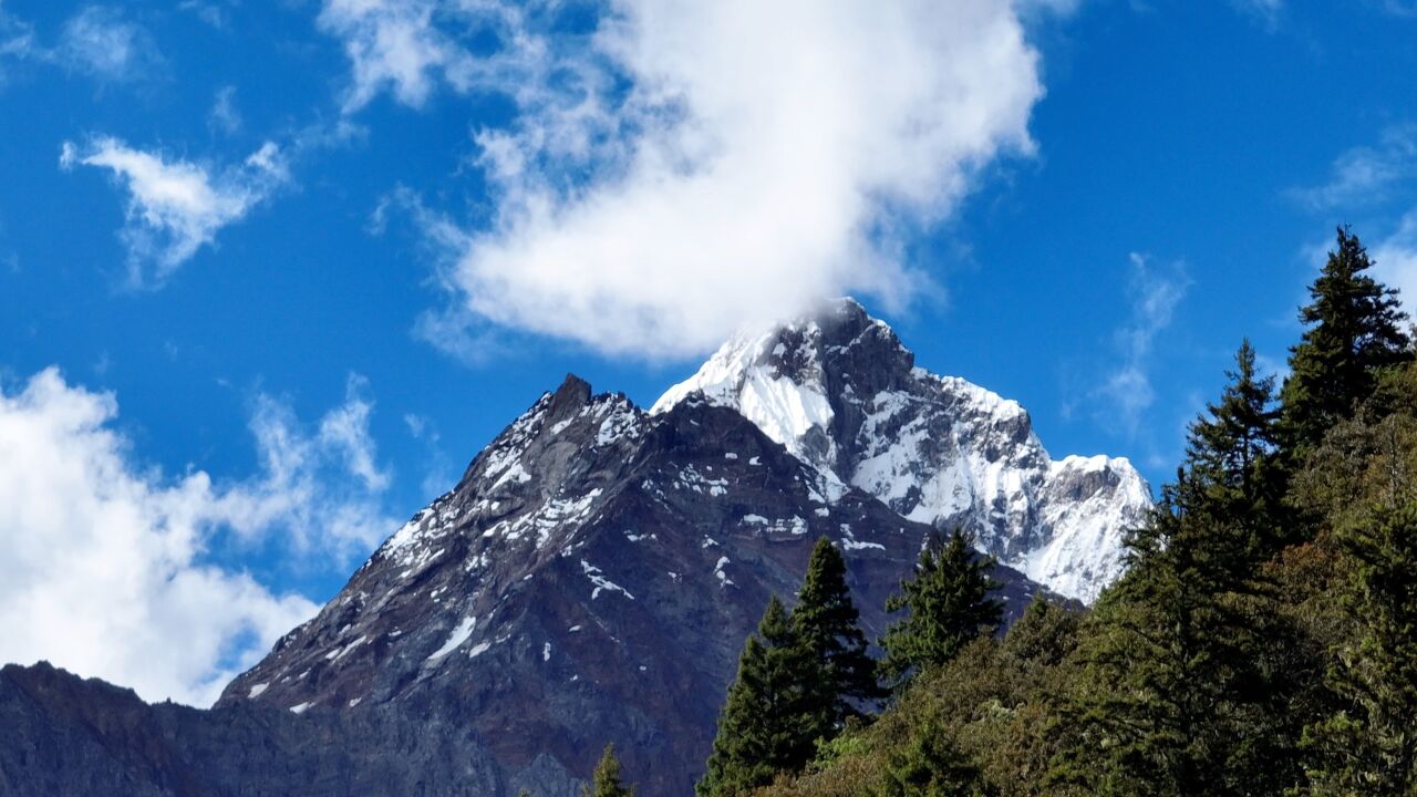 航拍视角饱览西藏林芝绝美风景:青山碧水与雪山同框