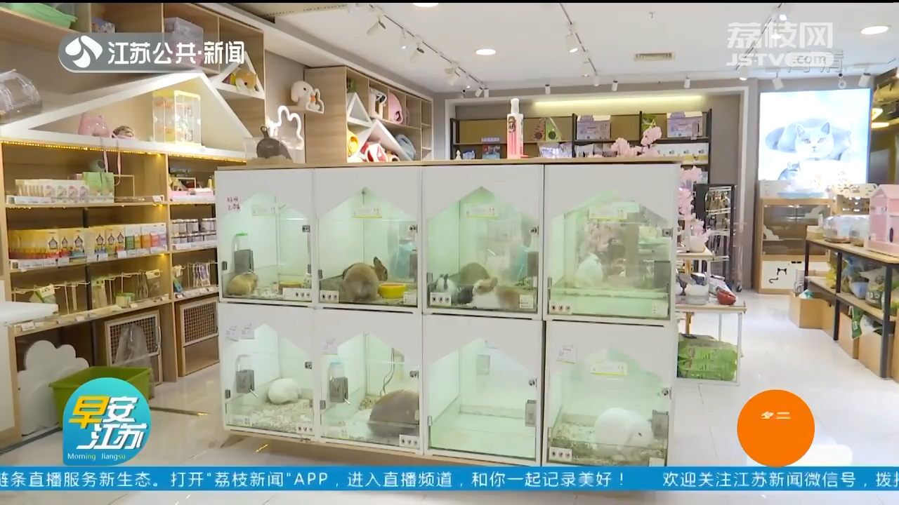 看看你的萌宠热成啥样了?夏季萌宠消暑用品赶紧安排