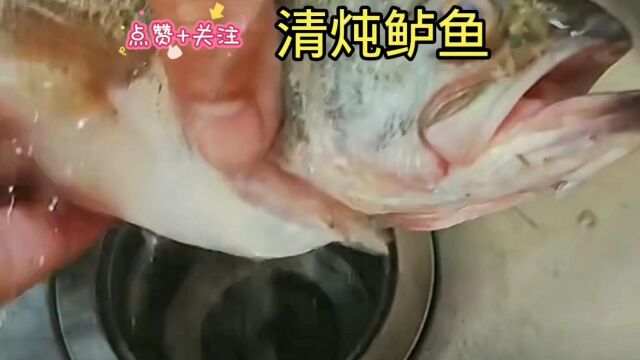 中华美食料理