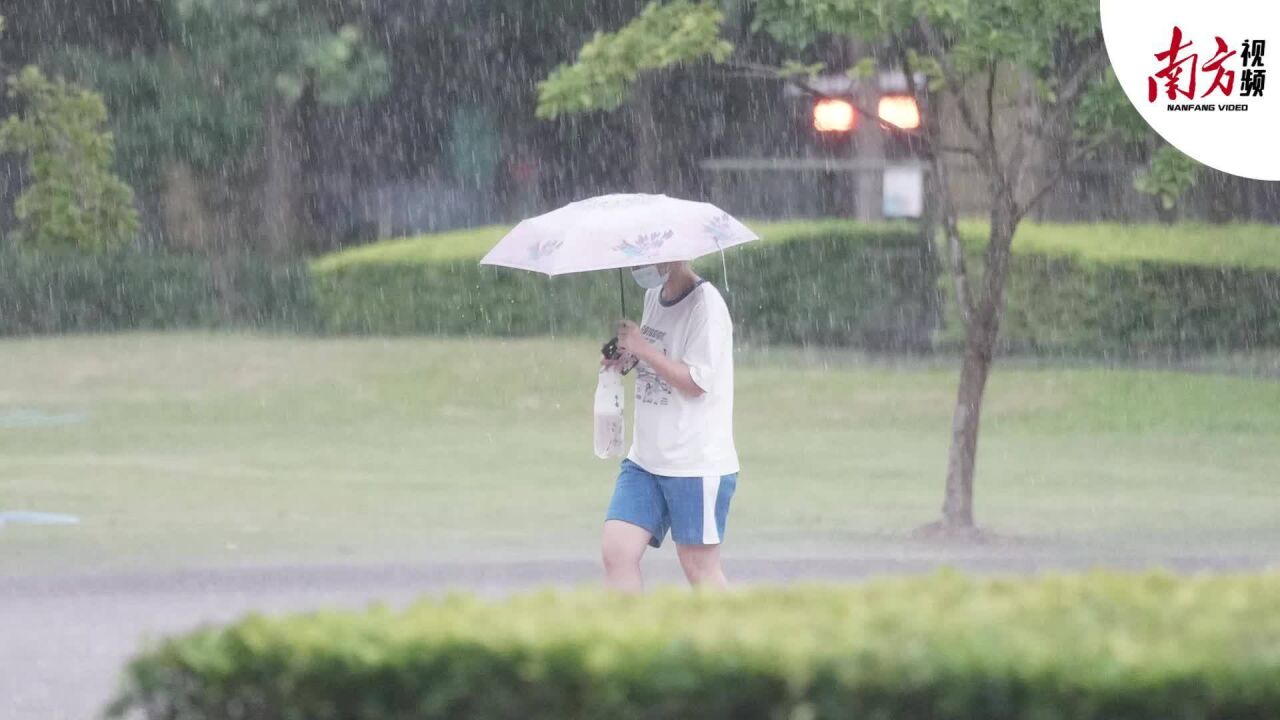 终于!羊城午后突降雷阵雨,送来阵阵凉风