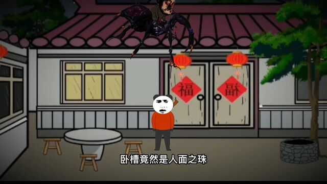 那年暑假,我遇到了光头蜘蛛!