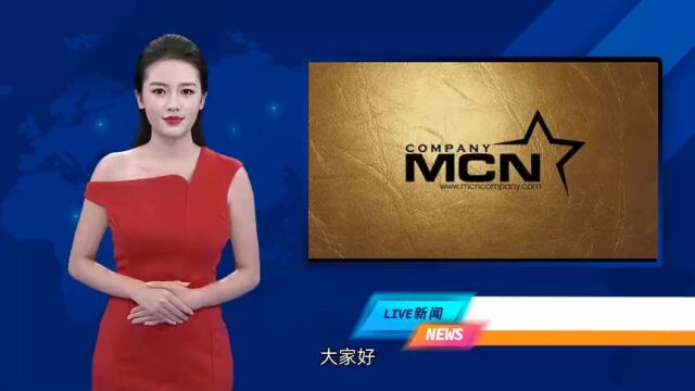 MCN机构如何构成