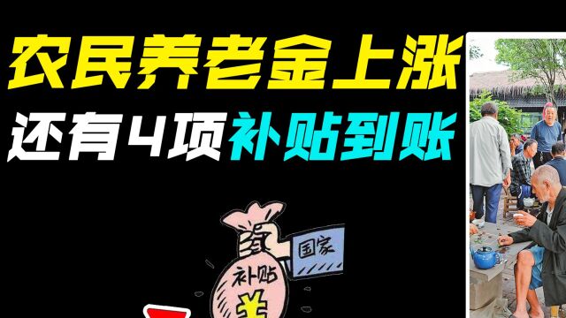 2022年好消息,农民养老金上涨,还有4项补贴到账!