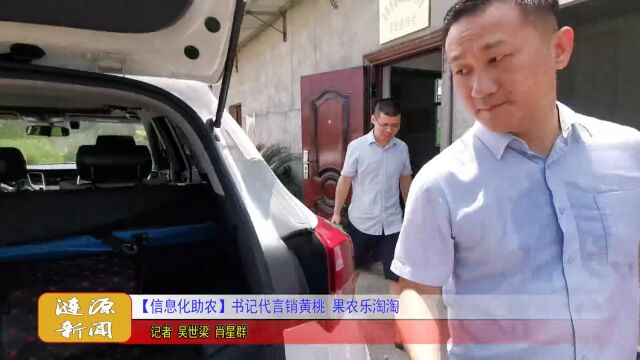 信息化助农丨书记代言销黄桃 果农乐淘淘