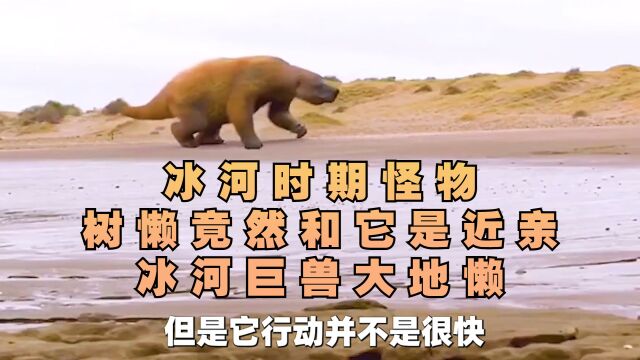 很少人知道的冰河时期怪物,树懒竟然和它是近亲,冰河巨兽大地懒