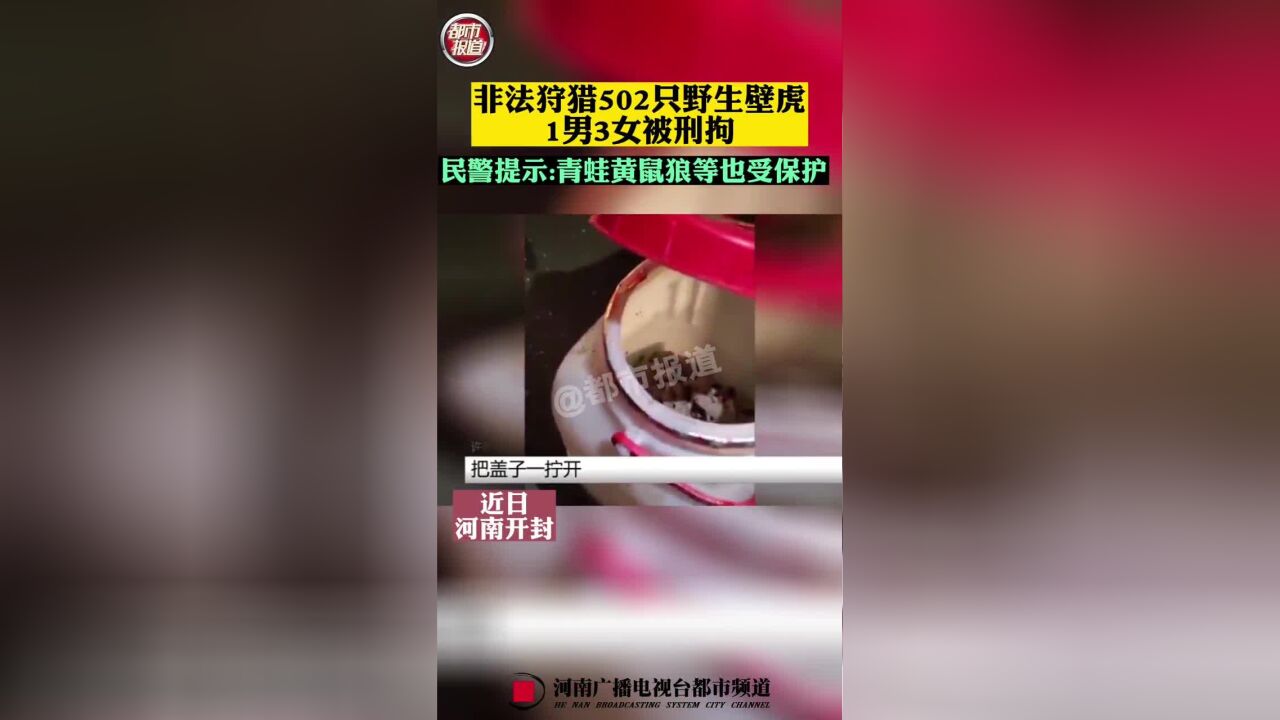 非法狩猎野生壁虎,1男3女被刑拘,提醒:青蛙黄鼠狼等也受保护