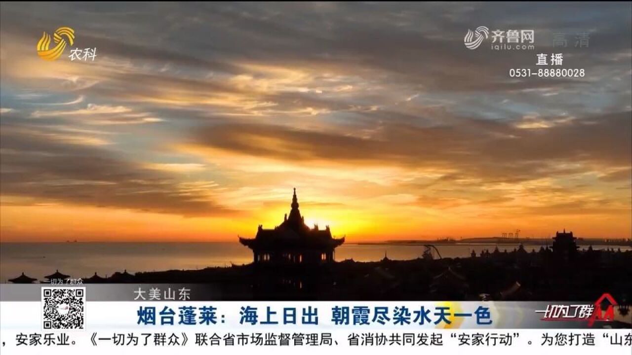 云赏美景!蓬莱海上日出红满天,朝霞尽染水天一色,场面超震撼