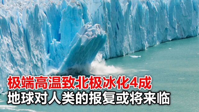 全球极端高温频发,北极冰已化4成,地球对人类的报复或许要来了