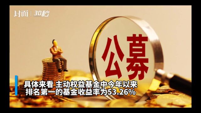 30秒 | 业绩分化加大 基金经理年中积极调仓