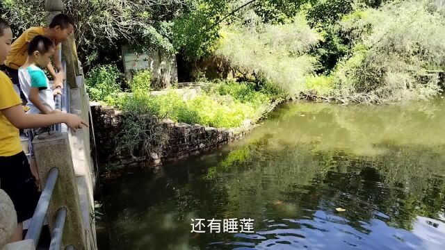 广东省普宁市古八景之一的南岩古寺,有个甘泉亭,很悠闲的地方