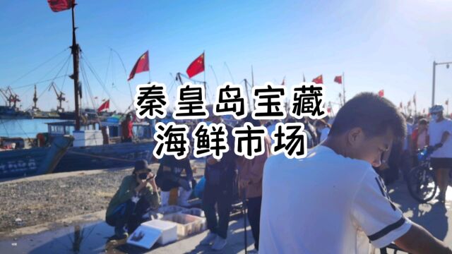 房车生活第199集:秦皇岛宝藏海鲜市场