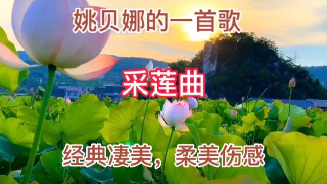 姚贝娜的一首歌《采莲曲》,经典凄美,柔美伤感