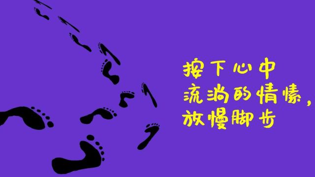 3《我们是什么关系》我决定按下心中流淌的情愫,放慢脚步