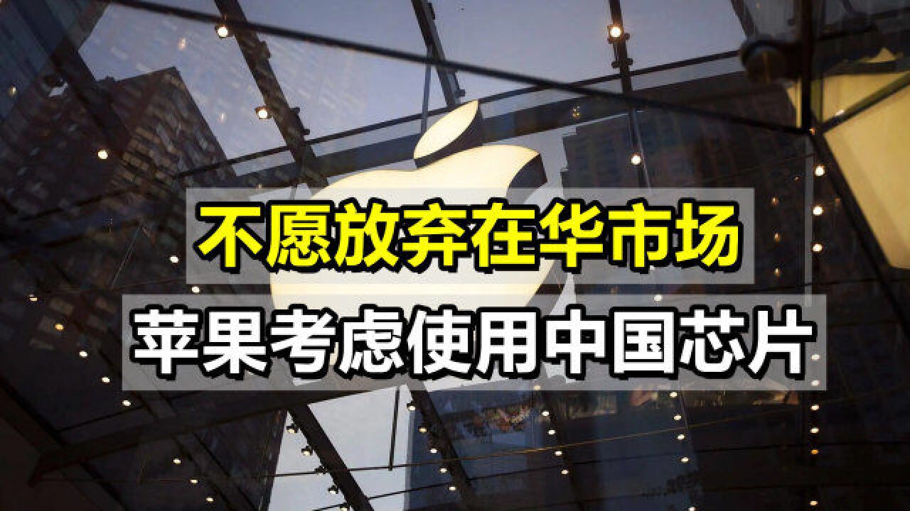 不愿放弃在华市场,苹果考虑使用中国芯片,美反华议员发出警告