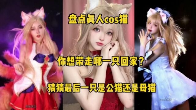 盘点真人cos猫,你想带走哪一只回家?猜猜最后一只是公猫还是母