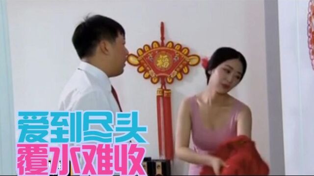 爱到尽头覆水难收,能干的妻子与窝囊的丈夫,法制剧