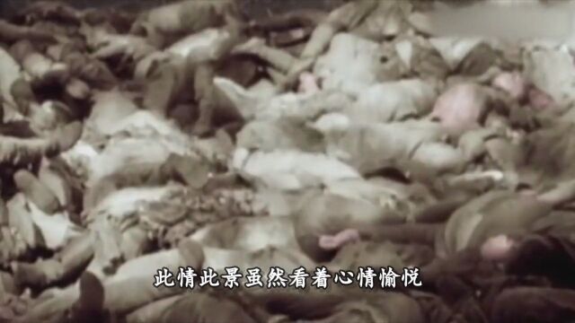 二战 日本第一窝囊废师团3#历史#二战